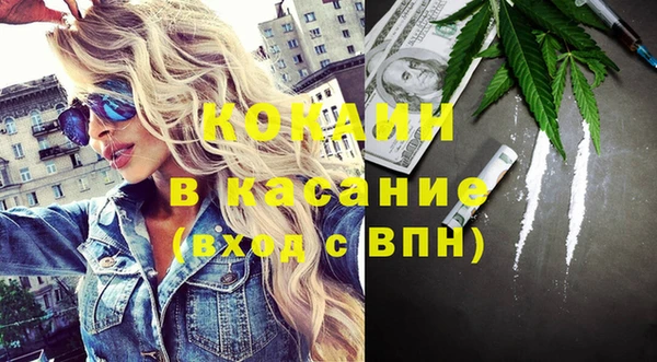 молекула духа Осташков