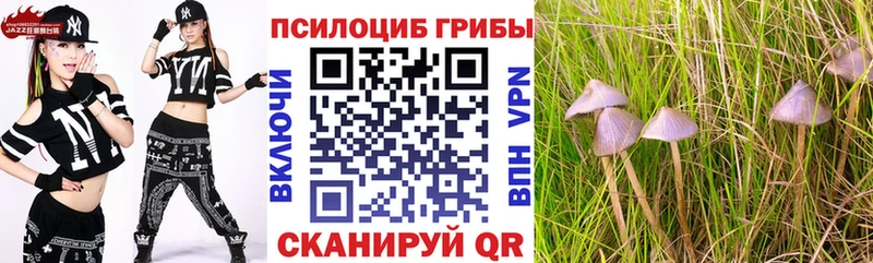 купить  сайты  blacksprut   Галлюциногенные грибы MAGIC MUSHROOMS  Курганинск 